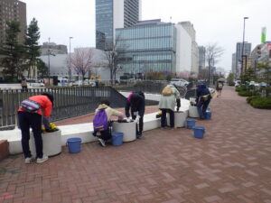 4月20日にまんなか広場のコンテナにビオラを植えこむ花くらぶ