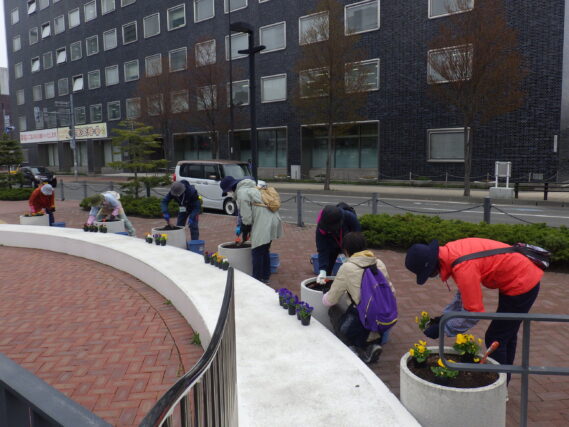 「花くらぶでコンテナに春の花ビオラを植え込みました」の画像