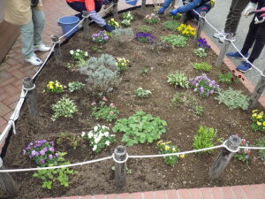 花壇の様子