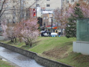4月22日に安田侃彫刻の天秘を清掃する創成川ポポロのみなさん