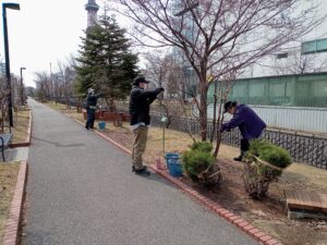 4月4日に冬囲い外しの活動をする植物ボランティア