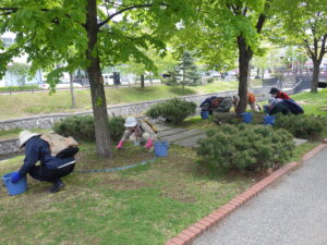 5月10日にスズラン花壇の除草をするお助け隊