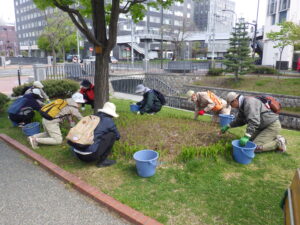 5月10日にスズラン花壇の除草をするお助け隊