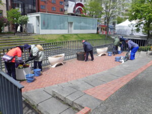 5月11日にコンテナ花壇のお手入れをする花くらぶ