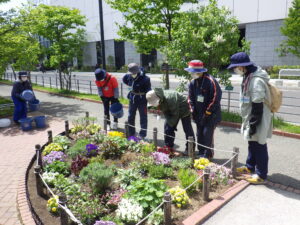 5月11日にコンテナ花壇のお手入れをする花くらぶ