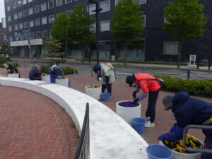 5月11日にコンテナ花壇のお手入れをする花くらぶ