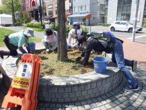 5月16日に円形ますの除草の作業をする植物ボランティア