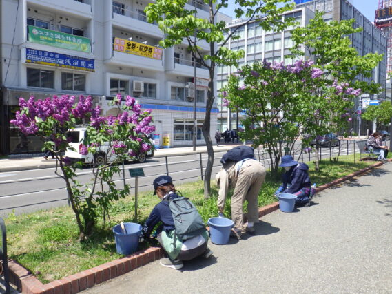 「今週の公園ボランティア」の画像