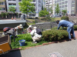 5月17日にスズラン花壇の除草をするお助け隊