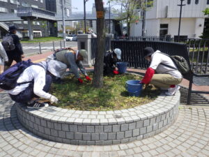 5月17日に円形ますの除草をするお助け隊