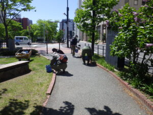 5月24日に園路の除草をするお助け隊