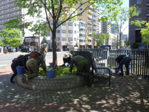 5月24日に円形ますと園路の除草をするお助け隊