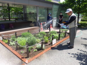 5月25日に花壇で花植えをする花くらぶ
