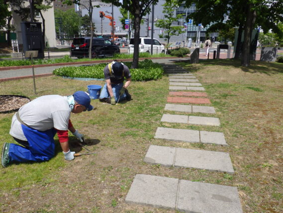 「創成除草ボラ活動開始、今週の公園ボランティア」の画像