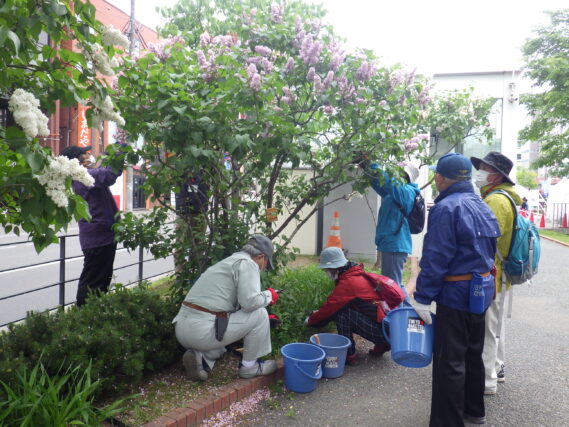 「今週の公園ボランティア」の画像