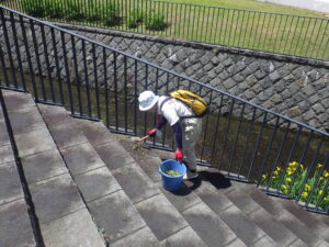 5月31日に園路と階段の除草をするお助け隊