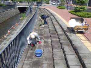 5月31日に園路と階段の除草をするお助け隊