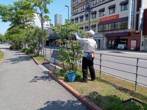 6月8日にライラックの花がら摘みをする花くらぶ