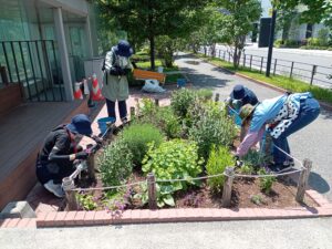 6月8日にコンテナ花壇の手入れをする花くらぶ