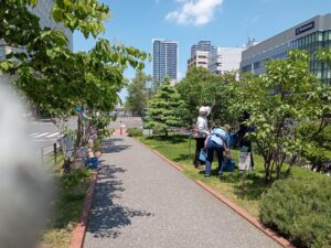 6月8日にライラックの花がら摘みをする花くらぶ