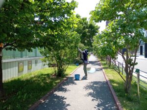 6月8日にライラックの花がら摘みをする花くらぶ