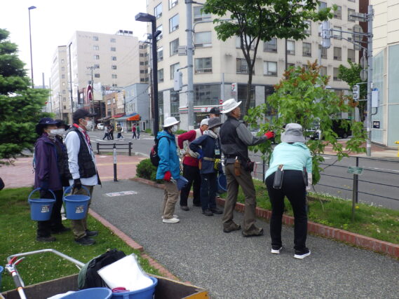 「先週今週の公園ボランティアと夏花への植替え」の画像