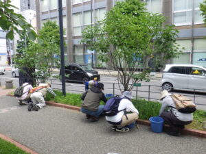 6月14日にヘメロカリス花壇の除草をするお助け隊