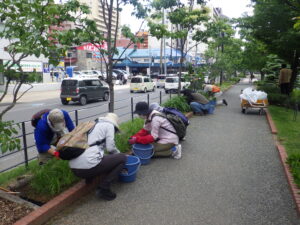 6月14日にヘメロカリス花壇の除草をするお助け隊