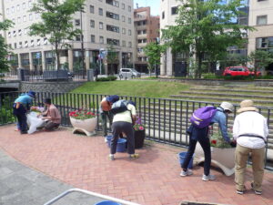 6月15日にコンテナ花壇のお手入れをする花くらぶ