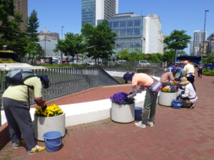 6月15日にコンテナ花壇のお手入れをする花くらぶ