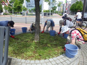 6月21日に円形ますの除草をするお助け隊