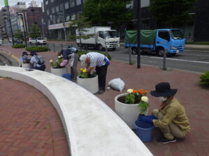 6月22日にコンテナの花を夏の花に植え替えをする花くらぶ