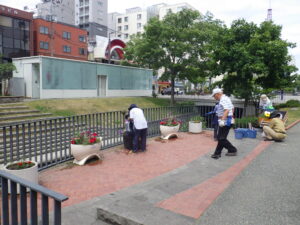 6月22日にコンテナの花を夏の花に植え替えをする花くらぶ