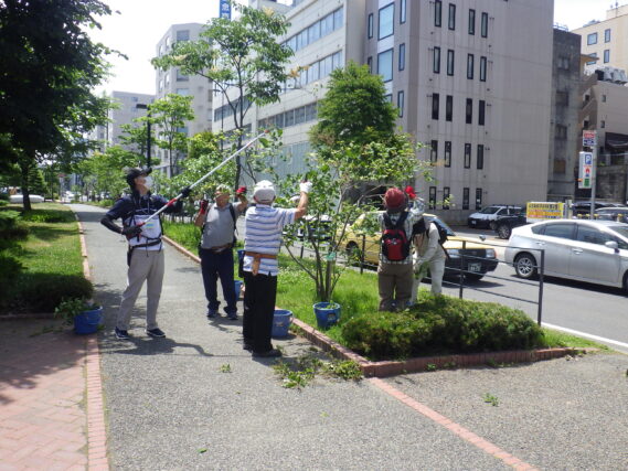 「6月最終週の公園ボランティア」の画像