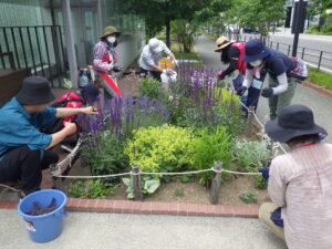6月29日に花壇のお手入れをする花くらぶ