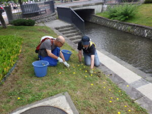 6月30日に除草をする創成除草ボランティア