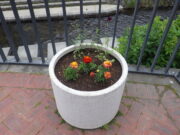 夏の花に植え替えられた狸二条広場のコンテナ