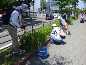 7月5日にヘメロカリス花壇の除草をするお助け隊