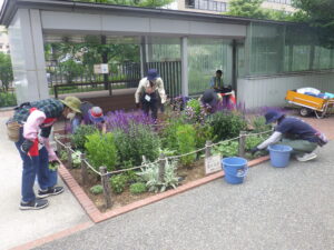7月6日に花壇の管理をする花くらぶ