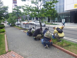7月11日にへwメロカリス花壇の除草をする植物ボランティア