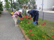 「今週の公園ボランティア」の画像