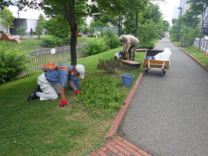 7月12日にスズラン花壇の除草をするお助け隊