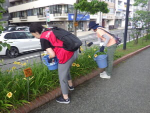 7月13日にヘメロカリスの花がら摘みをする花くらぶ