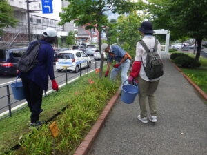 7月26日にへメロカリスの花がら摘みをするお助け隊