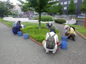 7月26日にスズラン花壇の除草をするお助け隊