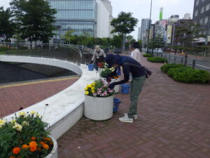 7月27日にコンテナ花壇の管理をする花くらぶ