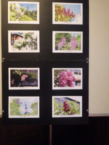 7月19日から札幌市資料館で開催のライラック写真展の様子