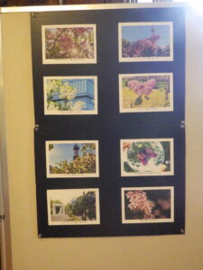 7月19日から札幌市資料館で開催のライラック写真展の様子