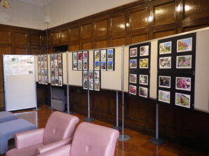 7月19日から札幌市資料館で開催のライラック写真展の様子