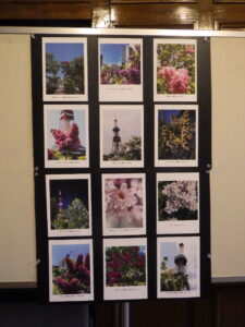 7月19日から札幌市資料館で開催のライラック写真展の様子